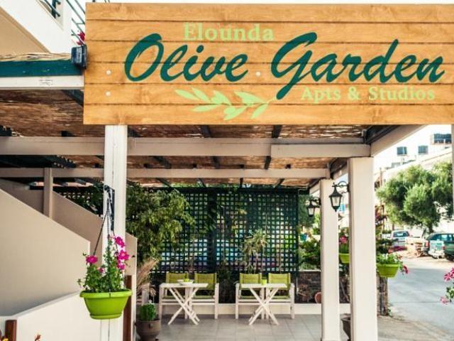 Elounda Olive Garden Apts & Studios Exteriér fotografie