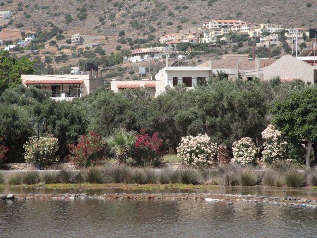 Elounda Olive Garden Apts & Studios Exteriér fotografie