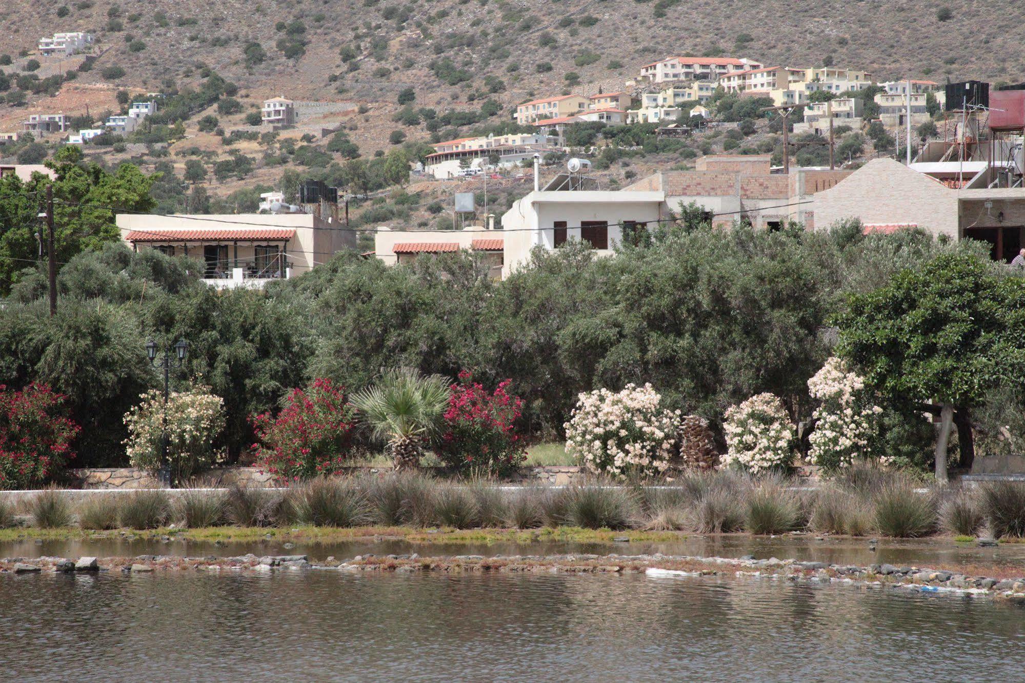 Elounda Olive Garden Apts & Studios Exteriér fotografie