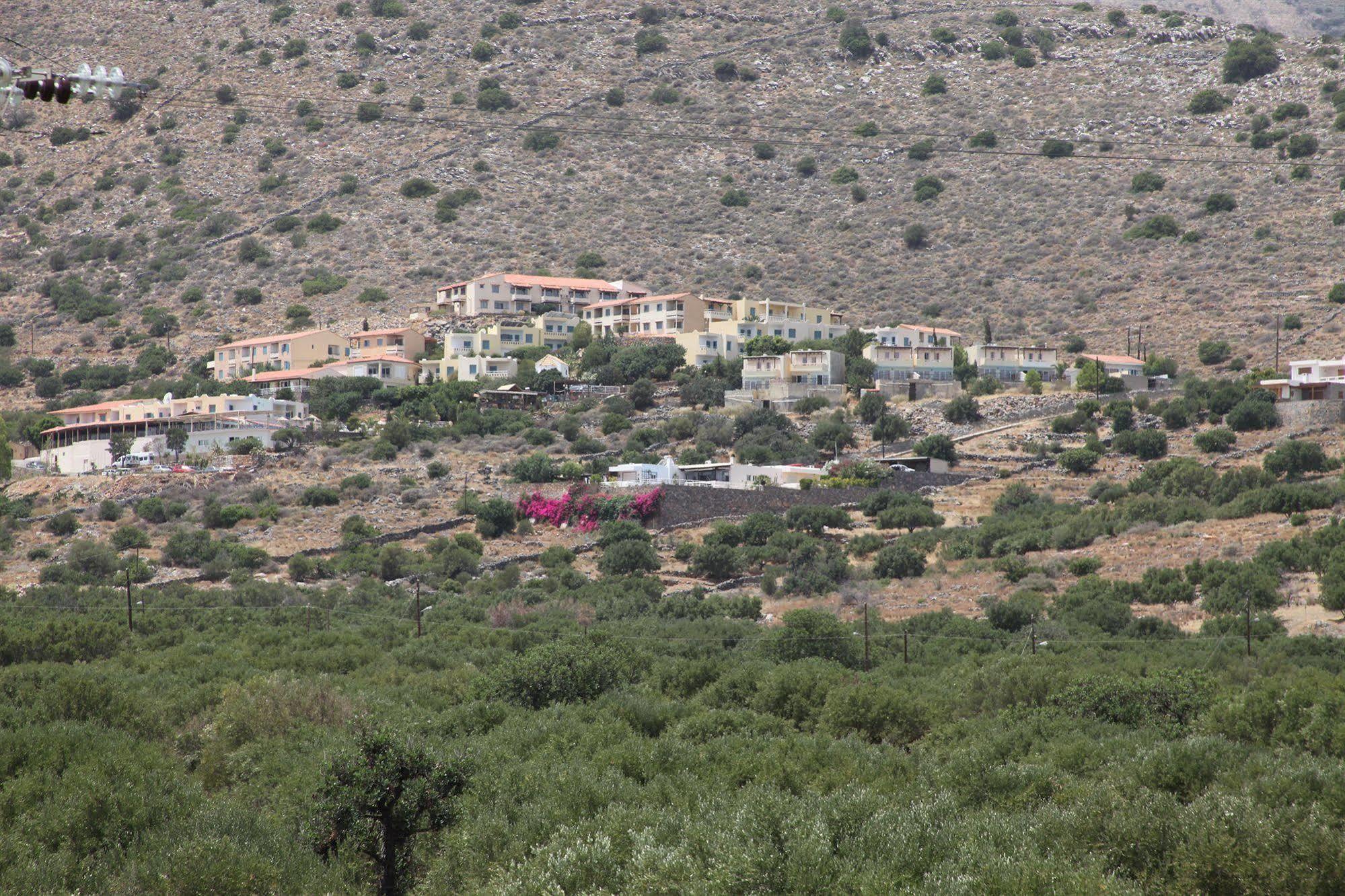 Elounda Olive Garden Apts & Studios Exteriér fotografie